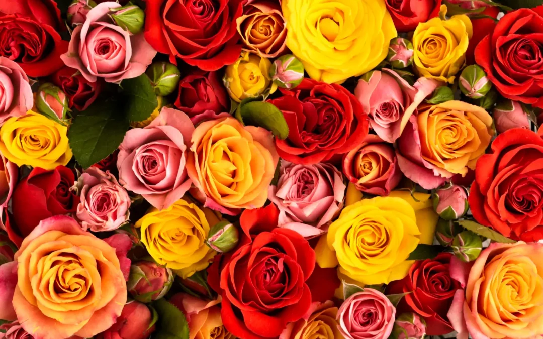 The 7 Most Popular Flowers In Greece